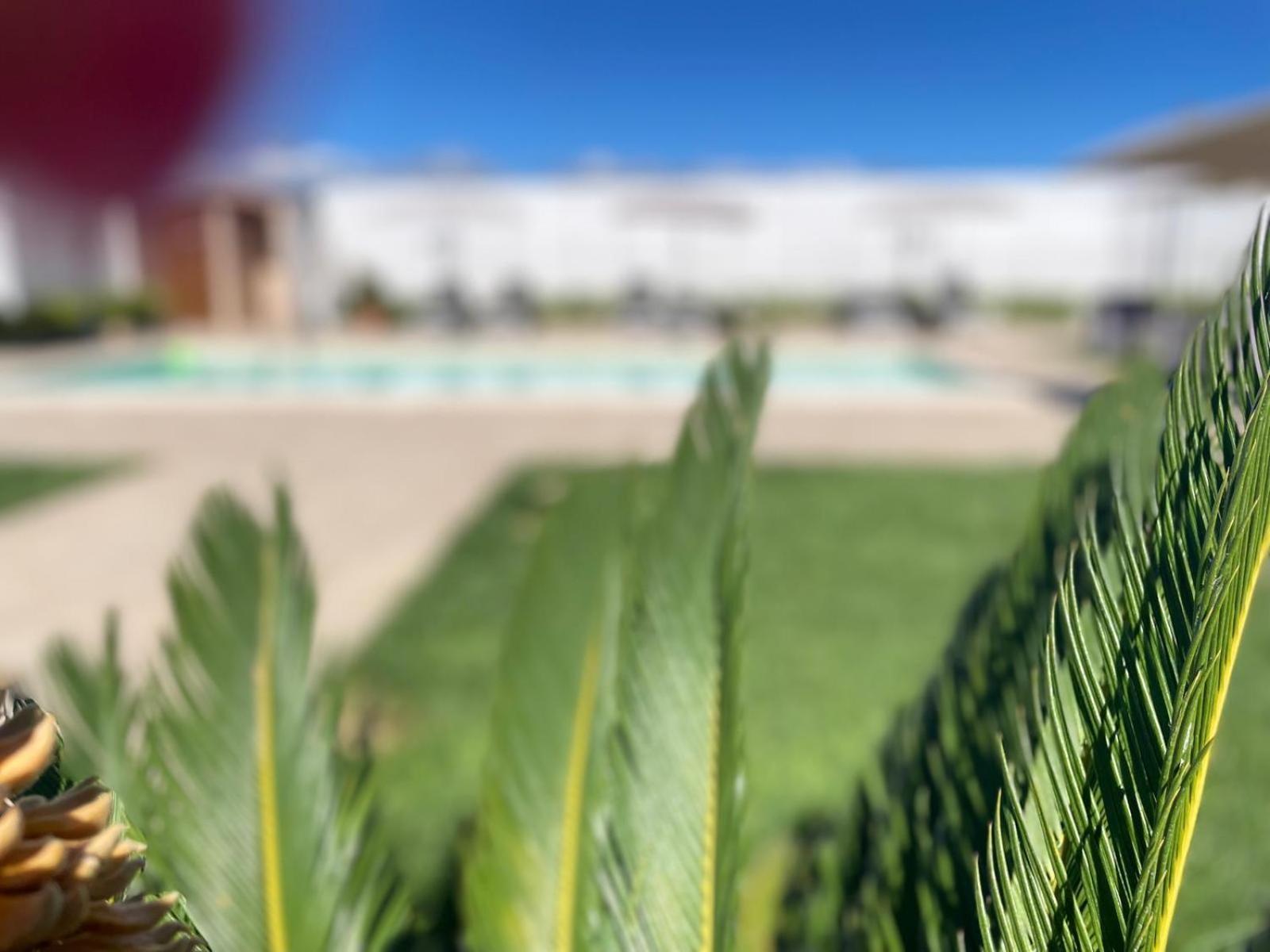 Agriturismo Albachiara Bisignano Dış mekan fotoğraf